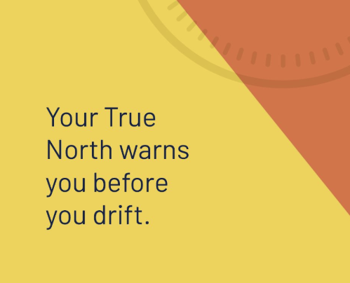 Screenshot 2026-02-20 at 5.29.50 PM